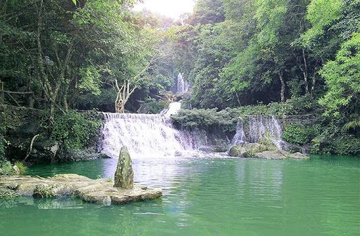 HẢI PHÒNG-K9 ĐÁ CHÔNG  – KHOANG XANH  SUỐI TIÊN